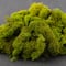 Ashland® Reindeer Moss